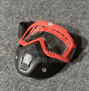 Ski Classic Face Google Mask