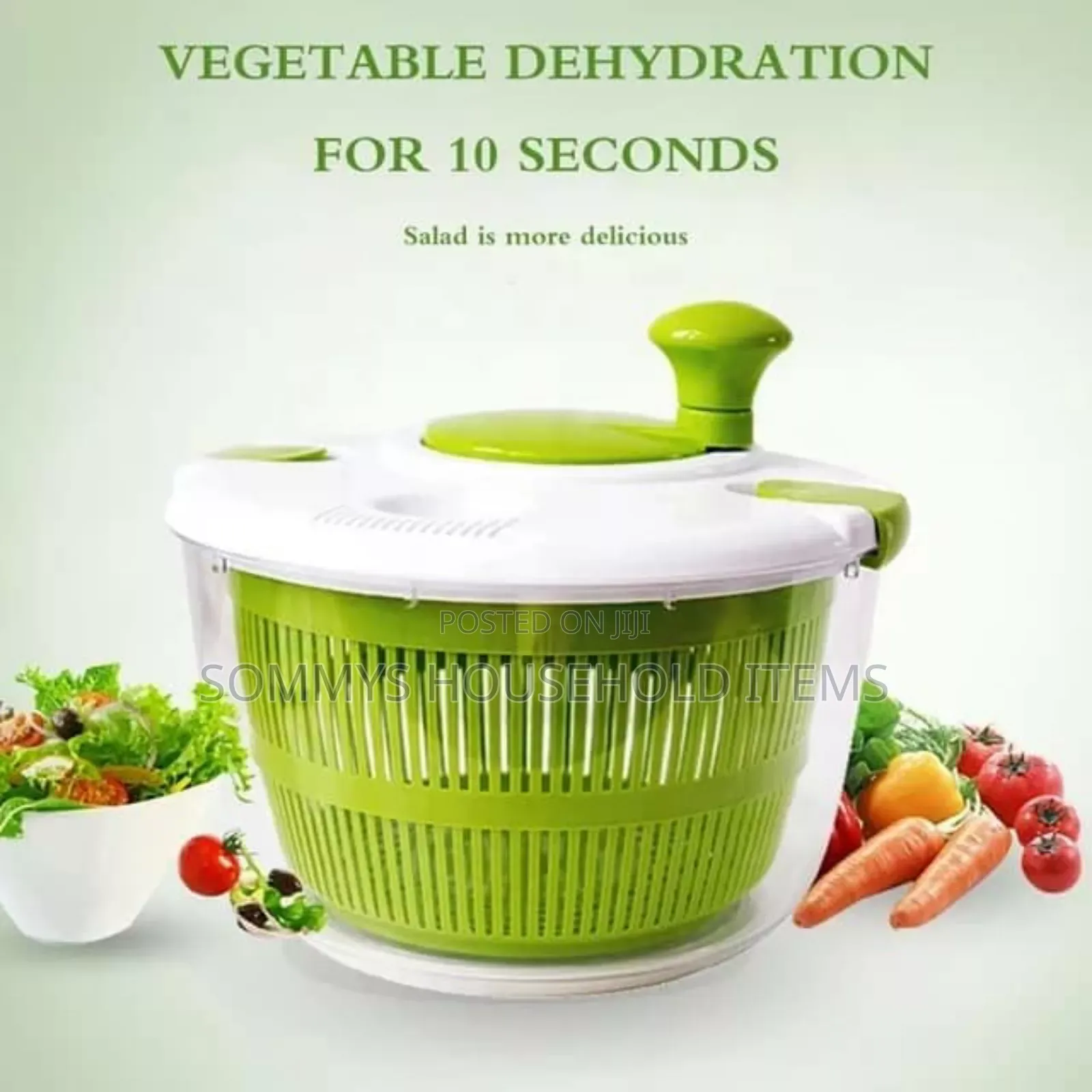 Vegetable Washer / Salad Spinner