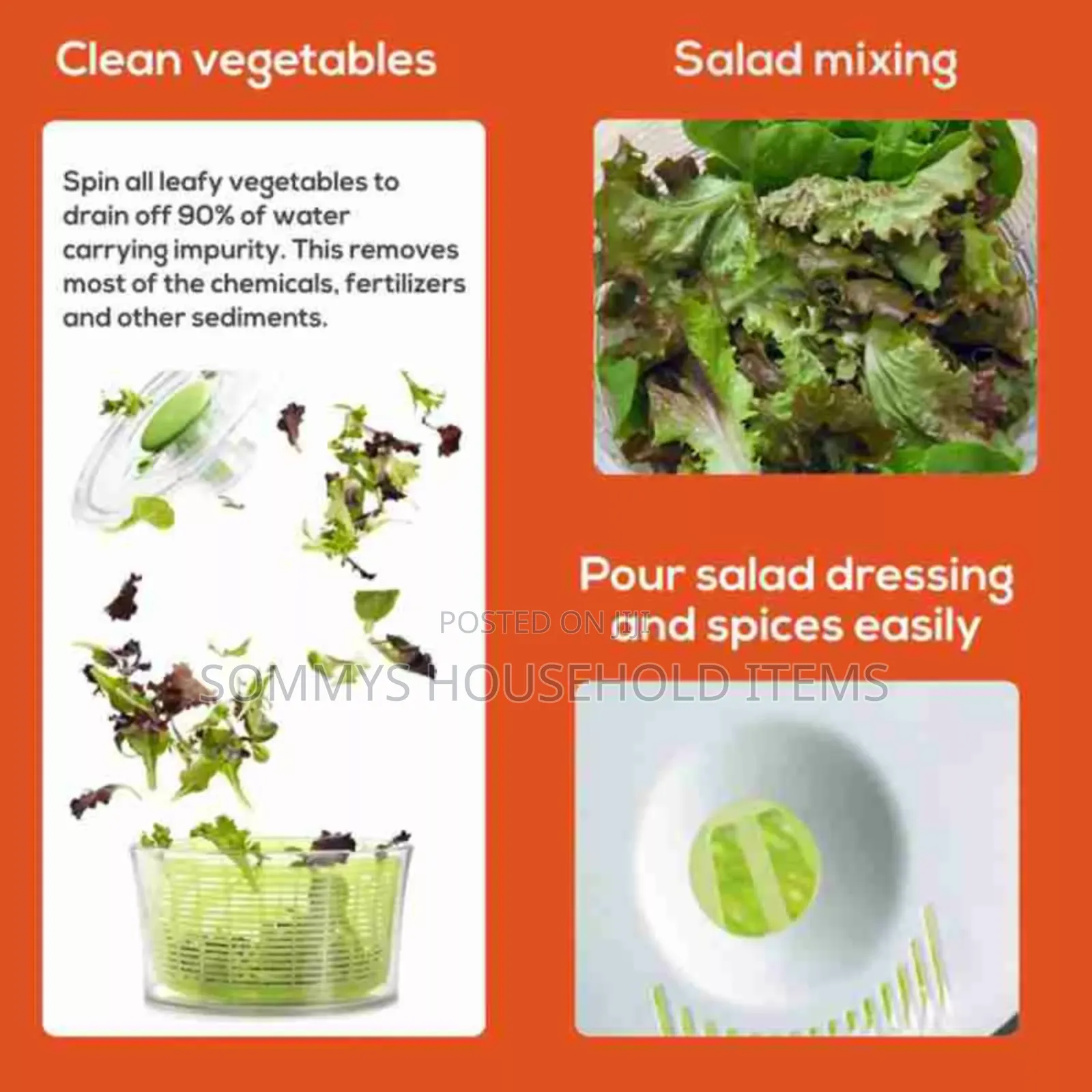 Vegetable Washer / Salad Spinner