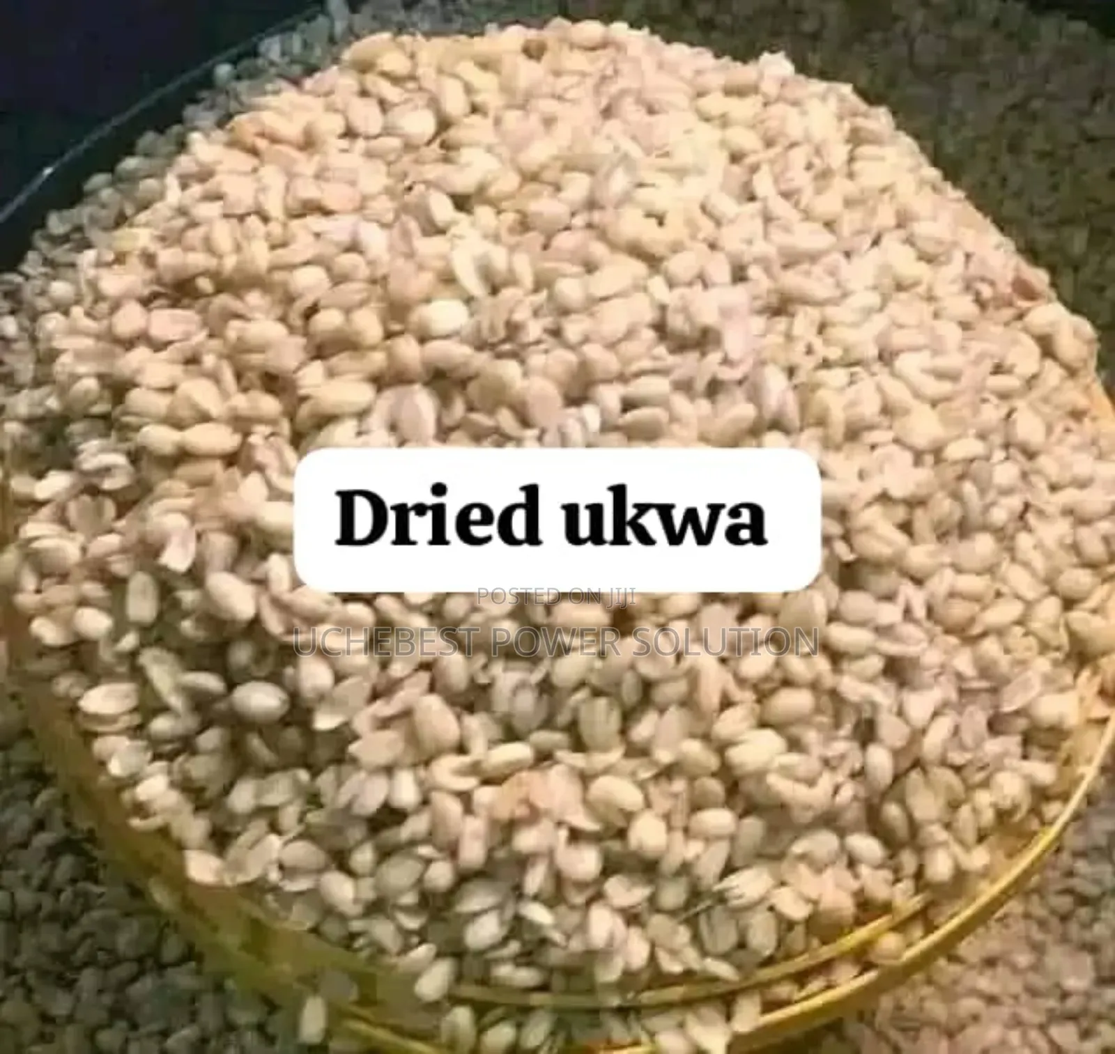 Dried Ukwa (Paint Rubber)