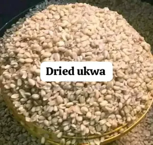 Dried Ukwa (Paint Rubber)