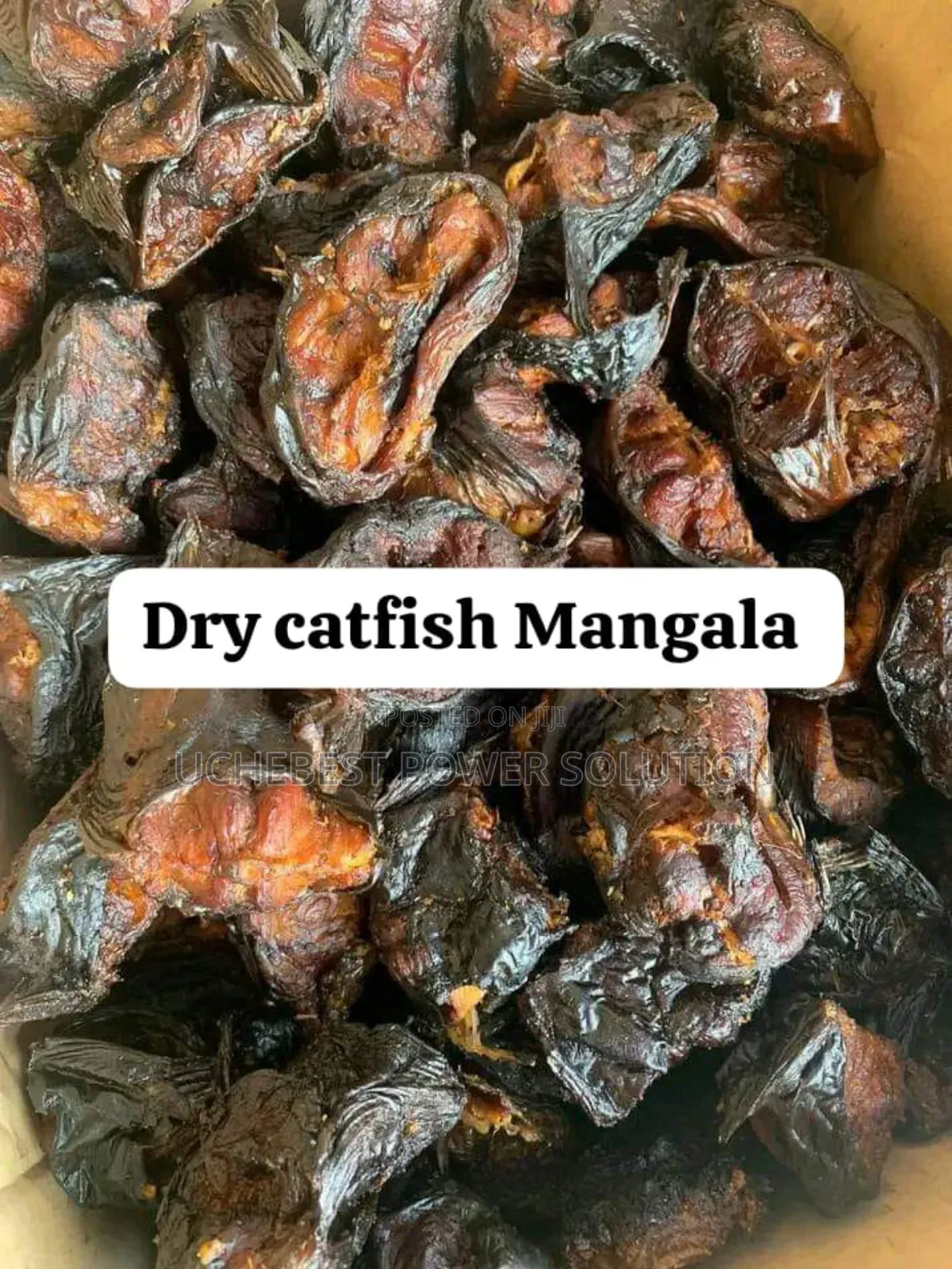 Dry Catfish Mangala (100 Pcs)