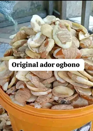 Original Ogbonno (Paint Rubber)