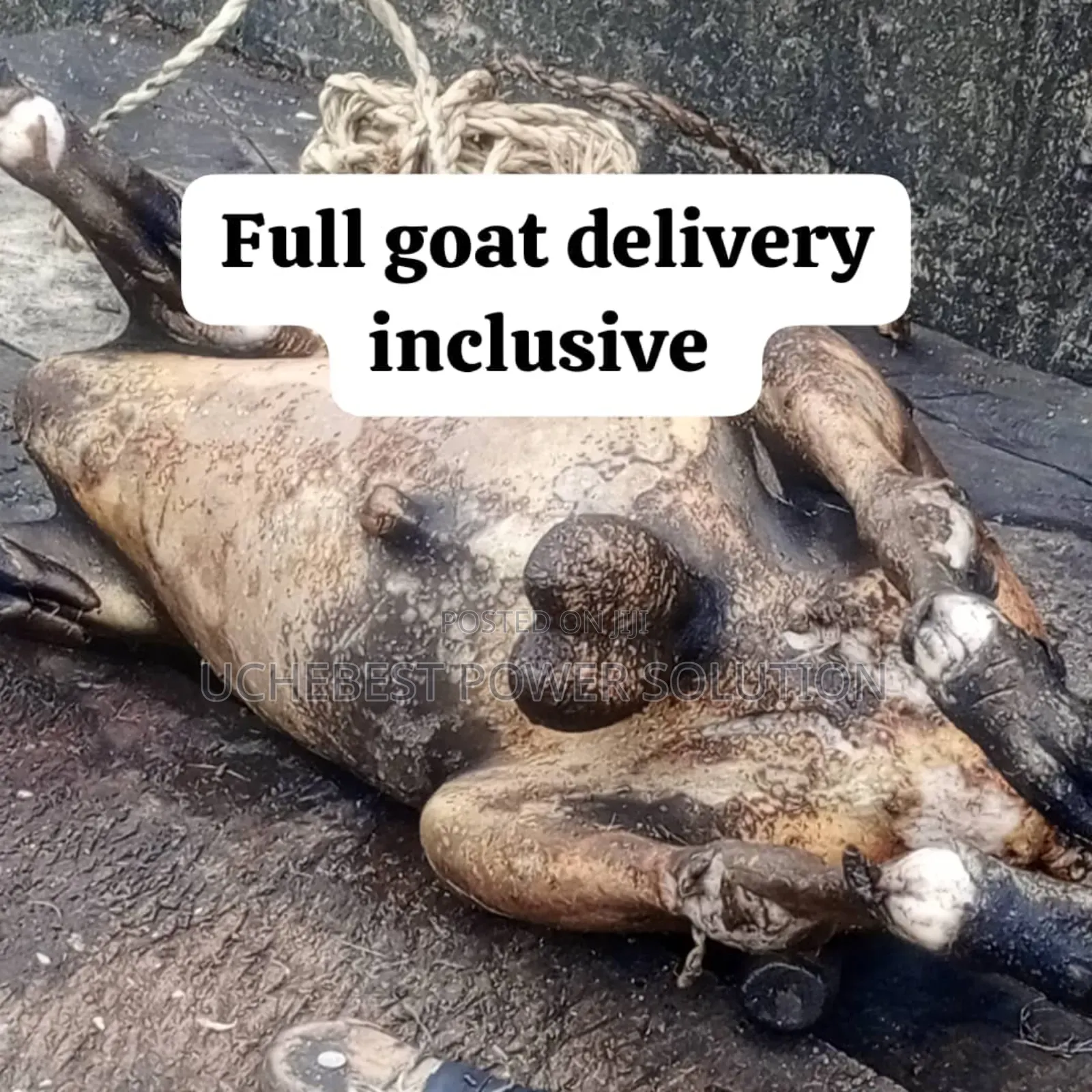 Full Goat Meat Delivery