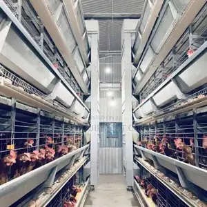 Automatic160 Chicken Cage Hub,Bell Drinkers ,Nipple Drinkers