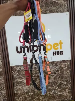 Leash and Collar