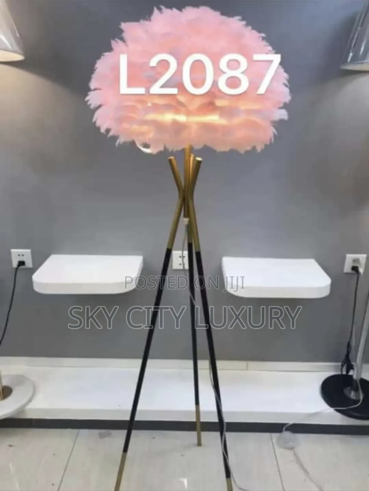 Dome Feather Floor Lamp Light