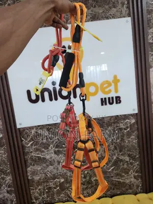 Leash Collar Harness Together