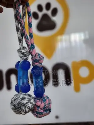 Bone Rope Toy