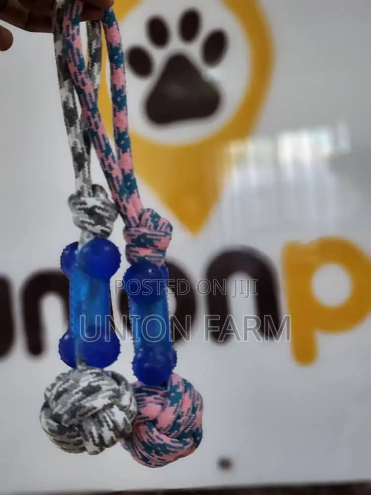 Bone Rope Toy