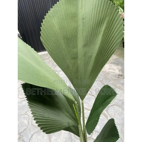 Artificial/Fake Fan Palm Tree 140cm in Port-Harcourt - Garden Supplies ...