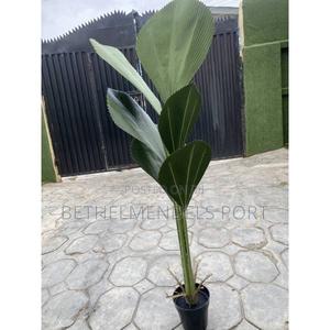 Artificial/Fake Fan Palm Tree 140cm in Port-Harcourt - Garden Supplies ...