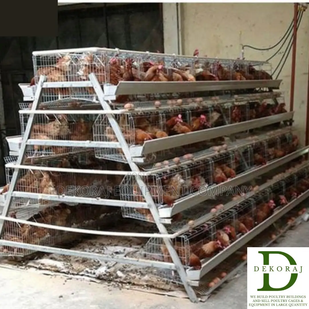 128 Capacity Poultry Cage, Gas Brooder, Layers