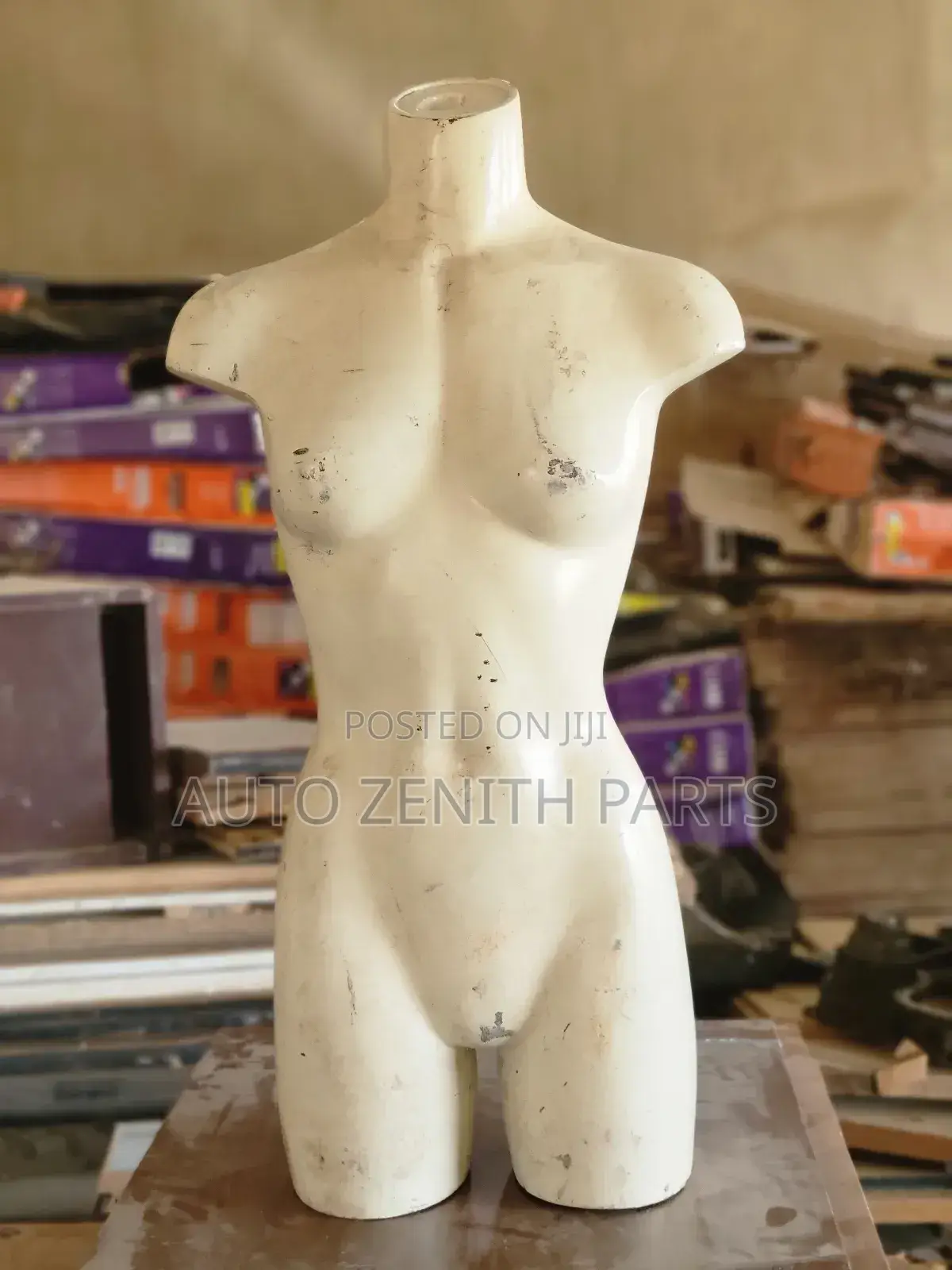 Female Mannique