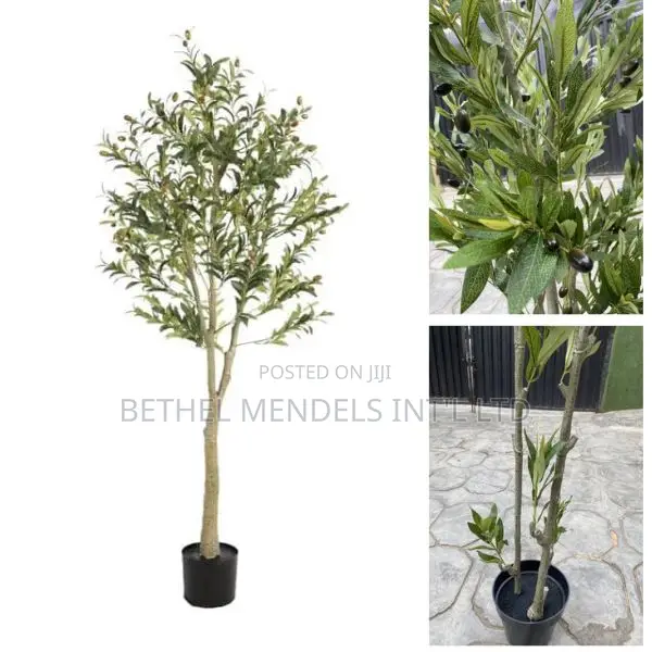 Artificial Erm Tree Plants | 140cm
