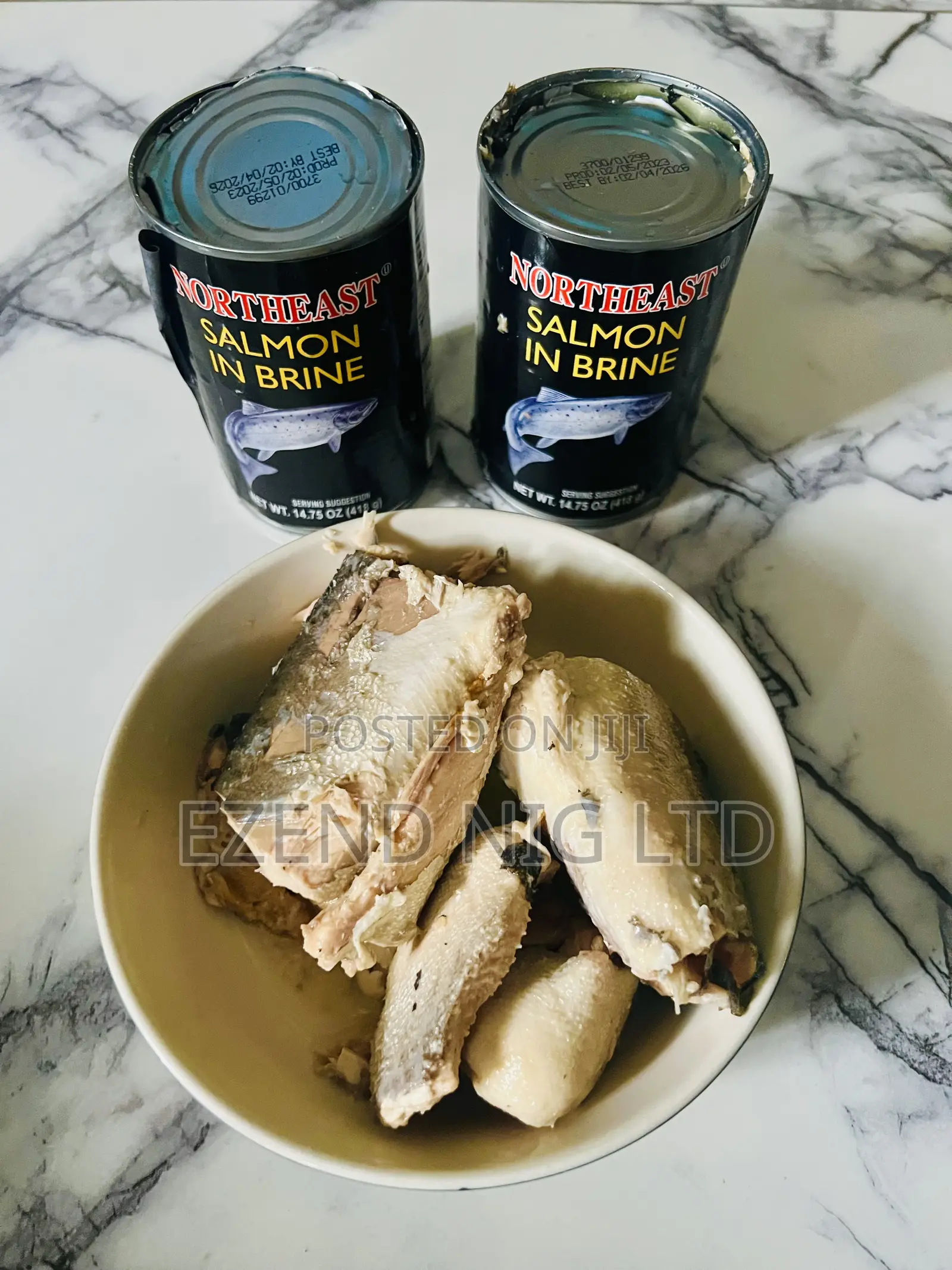 Pink Salmon Fish