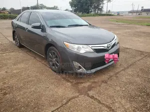 Car Rental and Hire