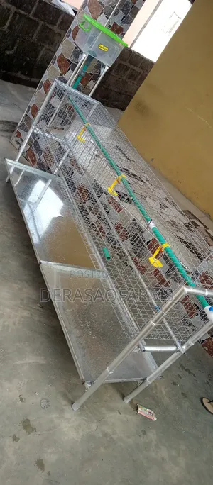 Broiler Cage for Your Backyard Farming
