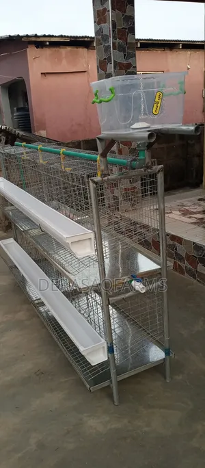Layers Cage for Your Backyard Farming