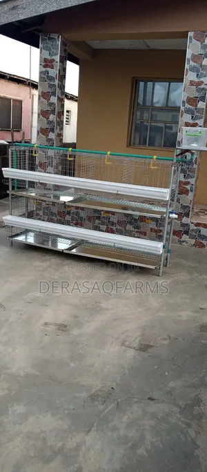 Layers Cage for Your Backyard Farming