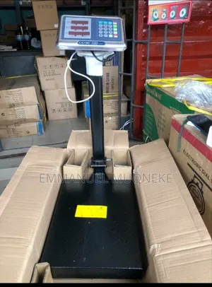 300kg Digital Camry