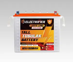 Long Lasting 220AH G Electrifier Tall Tumbler Battery