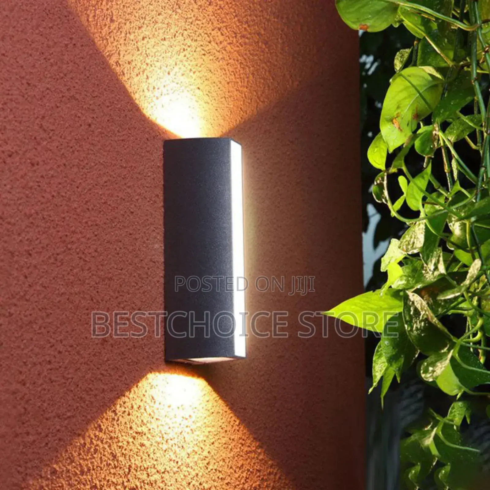 Outdoor Led Light