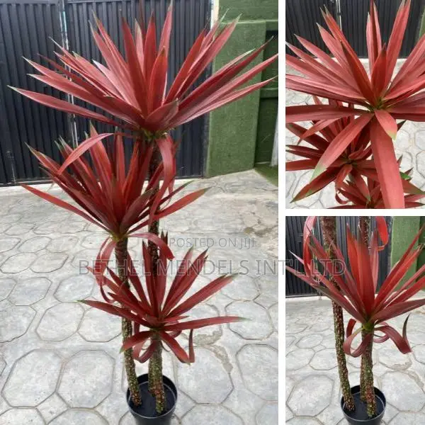 Buy Artificial Agave Tree | 140cm