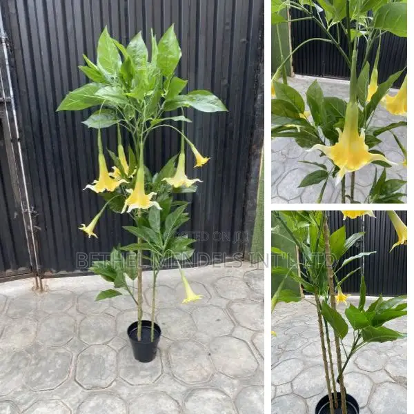 Buy Artificial Datural Plant | 130cm