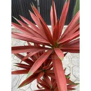 Fake Artificial Agave Tree | 140cm
