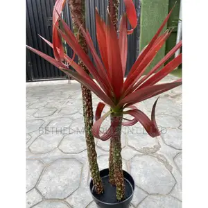 Fake Artificial Agave Tree | 140cm