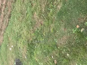 Alhj Adamu Sule Okah Residence Keffi