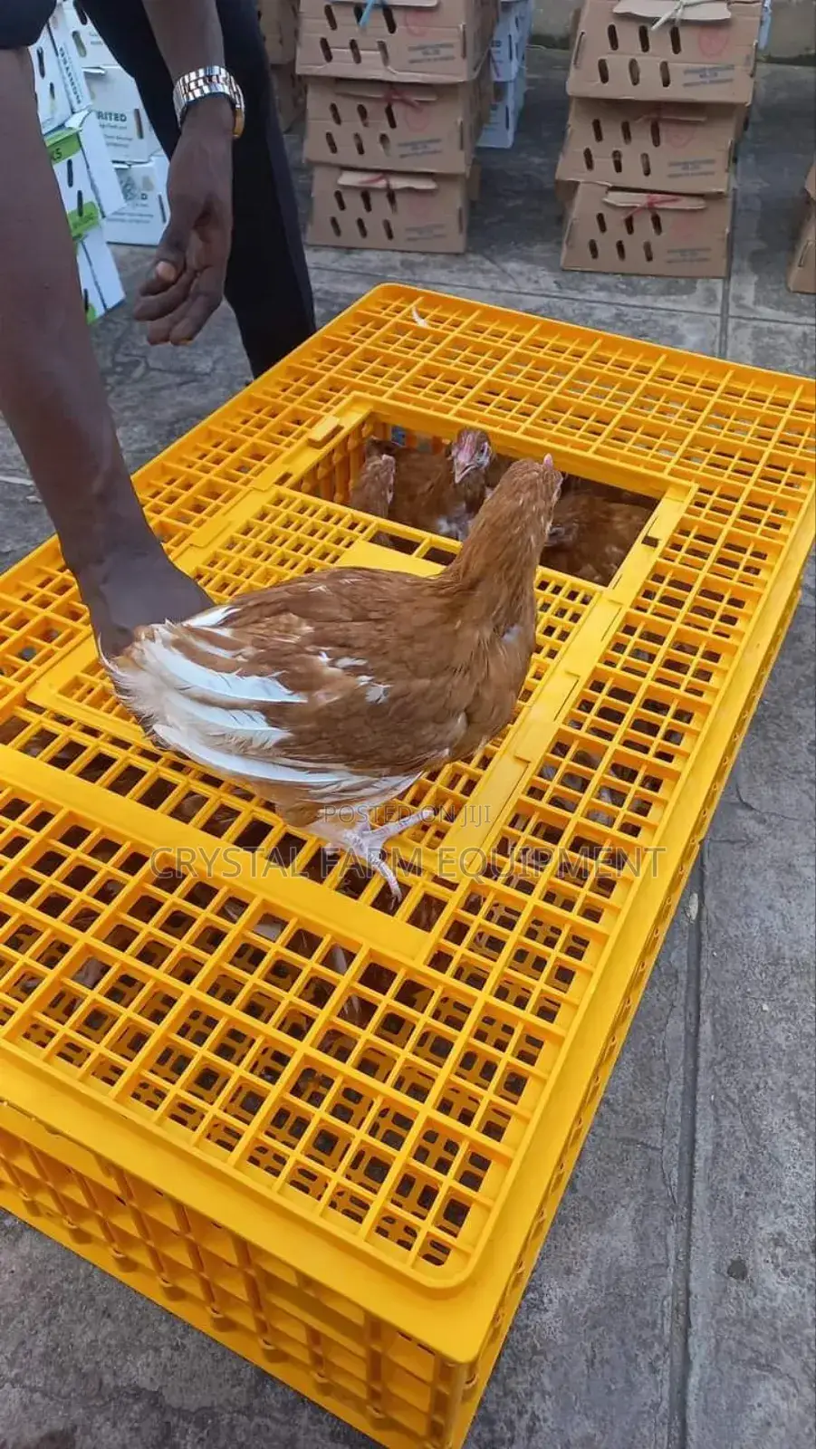 Transfer Crate