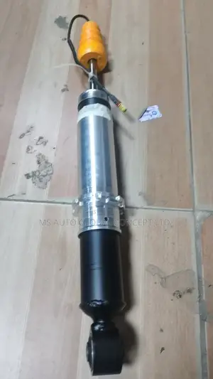 Ferrari 458 488 Replacement Back Shocks