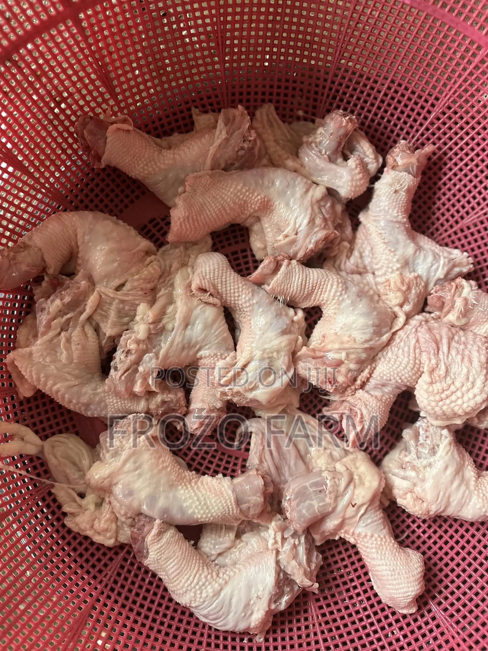 Chicken Neck
