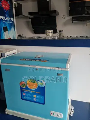 The Strong Polystar Chest Freezer "Pv-Cf322blu"