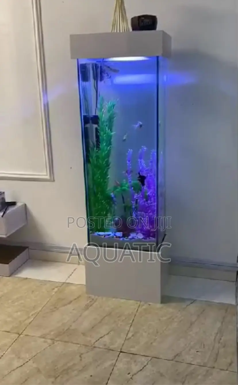 Long Aquarium