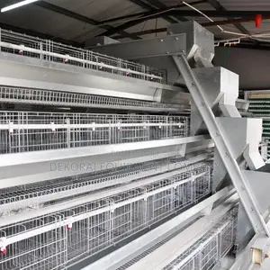 Super High Grade Foreign Automatic Layer Cages