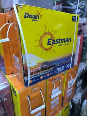 220A Eastman Dawn Tubular Battery