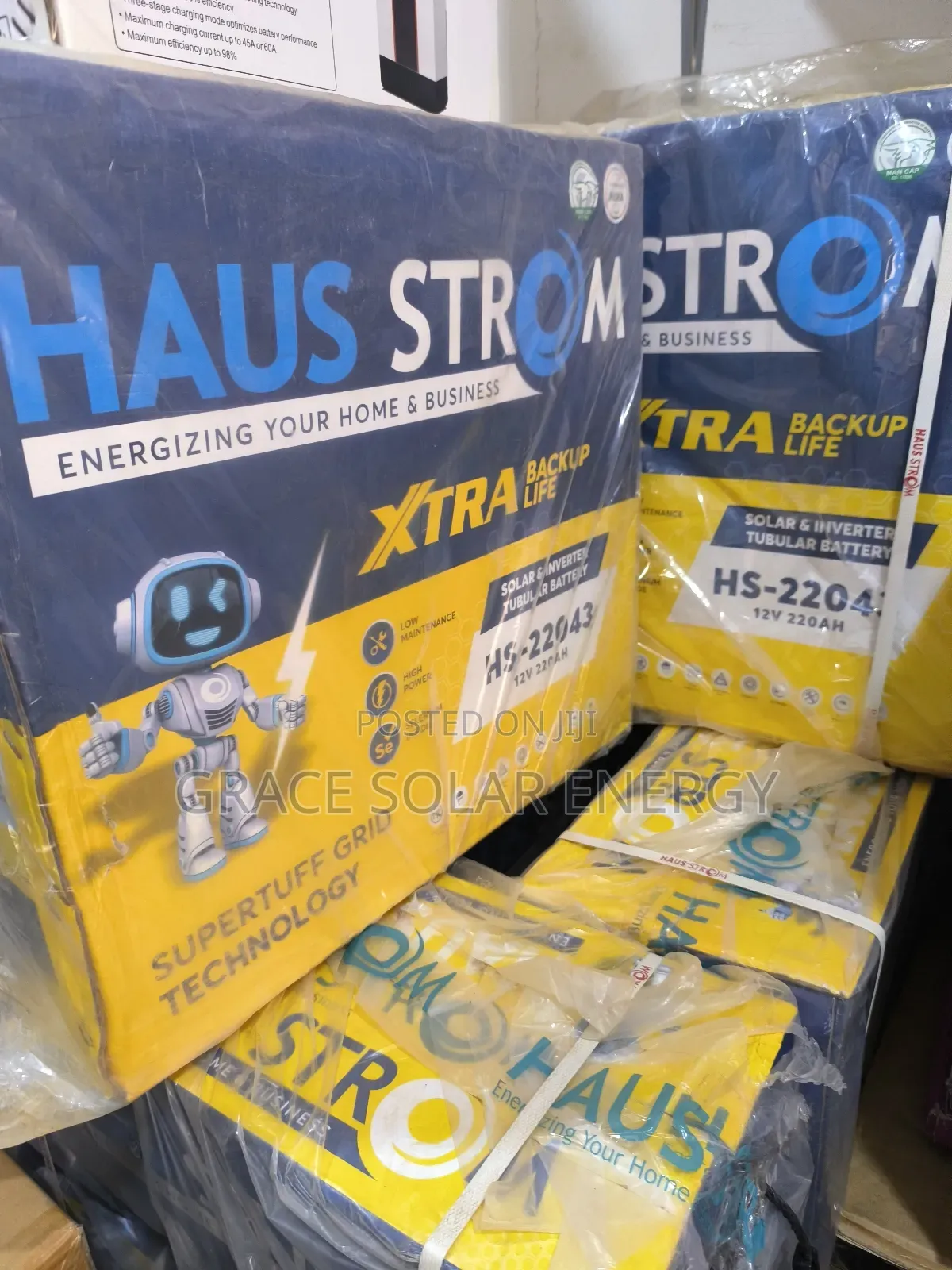 220A Haus Strom Tubular Battery