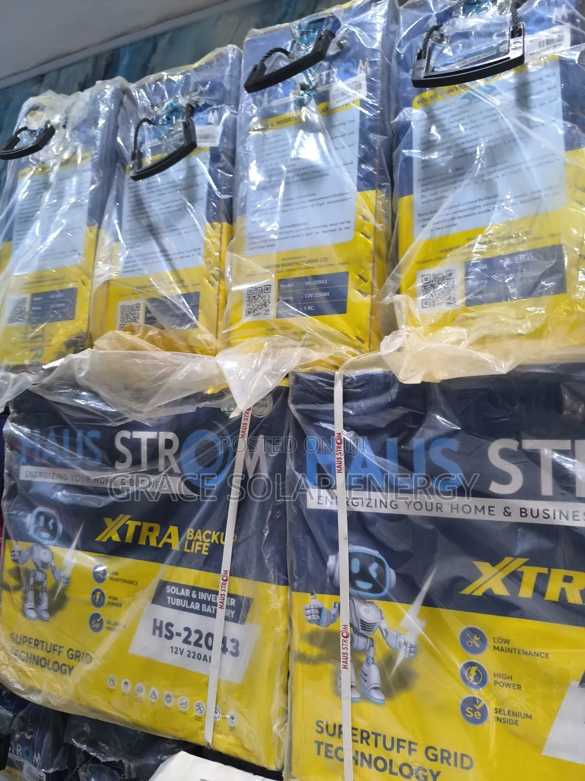 220A Haus Strom Tubular Battery