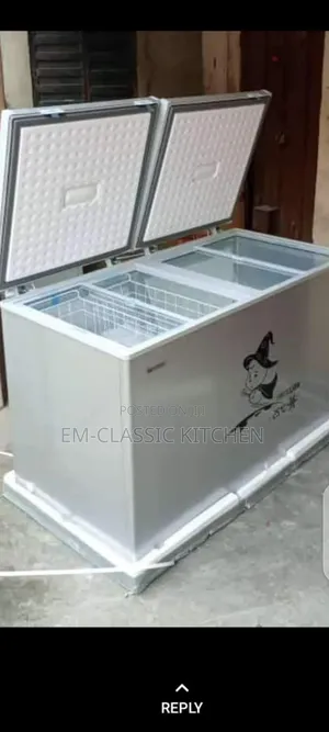 Double Door Freezer