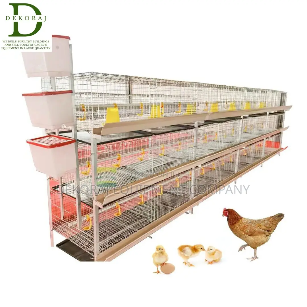 Efficient H Type 120 Poultry Cages For Layers Broilers