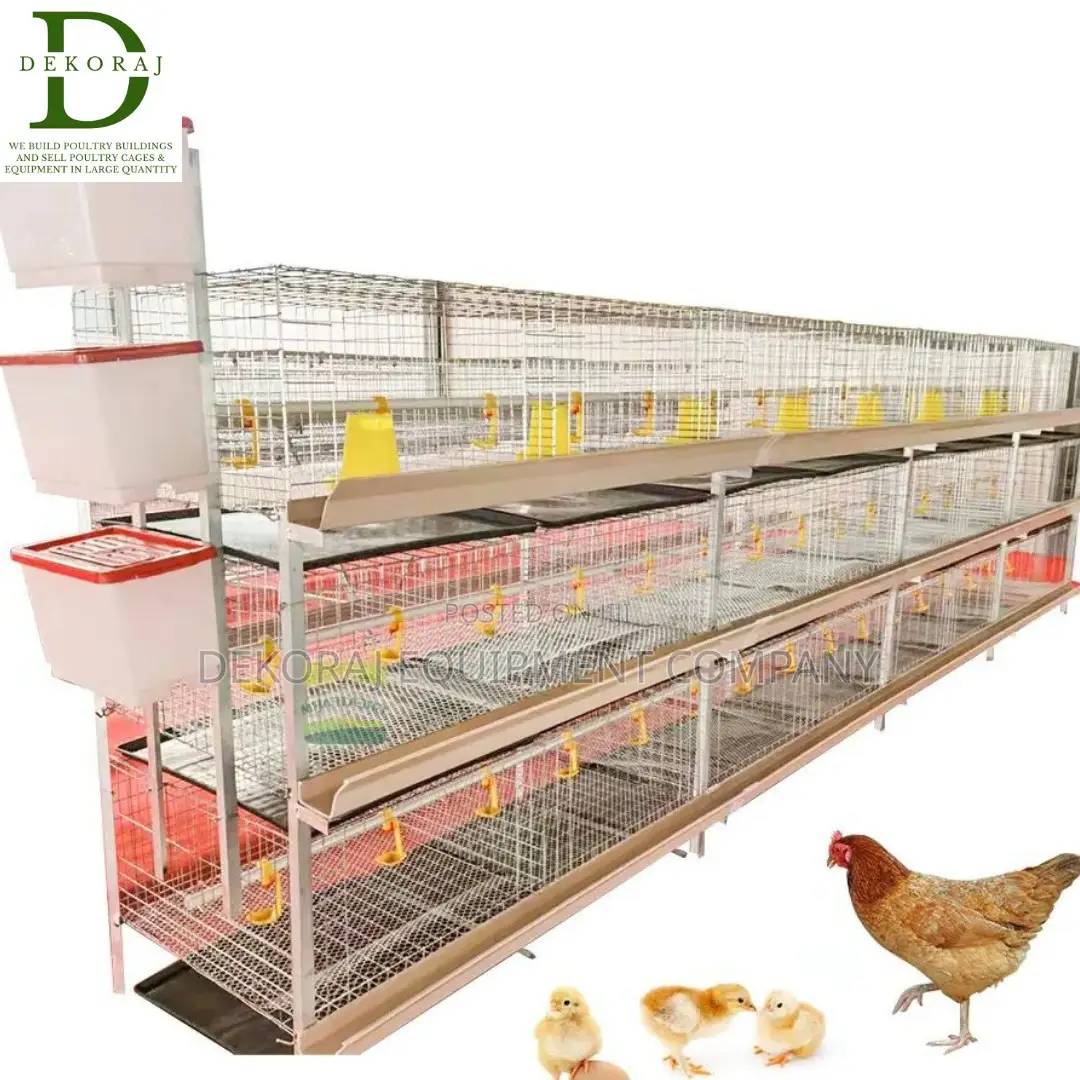 Imported H Type 120 Cages: The Best For Layers Broilers