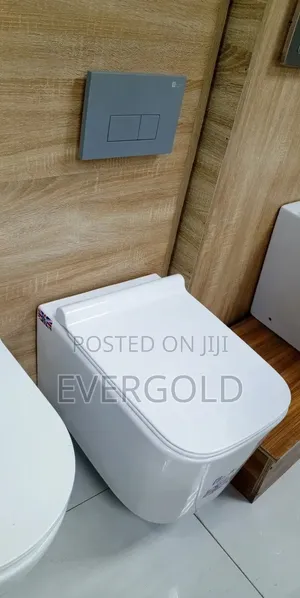 Conceal Water Closet With Complete Accessories And Warranty