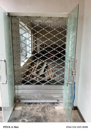 See Through Door