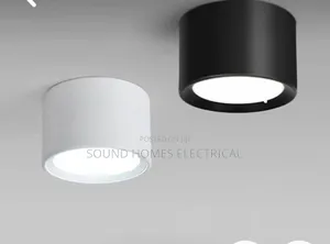 Frosted Glass Cob Light