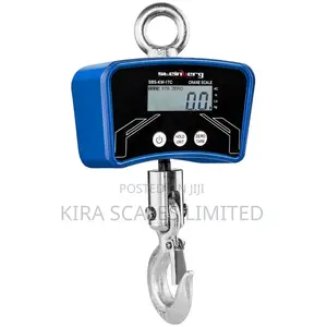 High Quality Crane Hanging Scale - 500kg