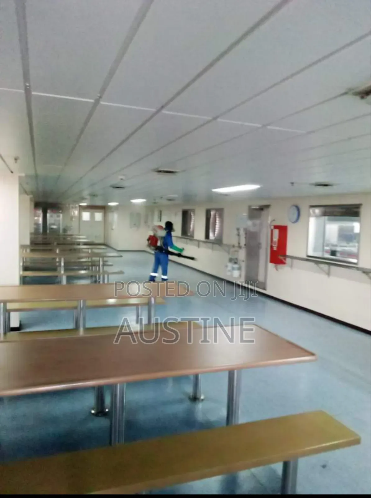 Odourless Fumigation,Pests Control and Cleaning Services