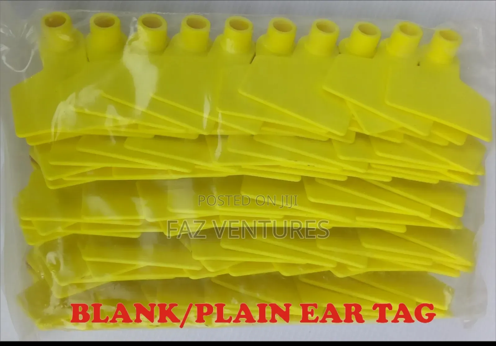 Ear Tag Plain/Blank (100pcs)